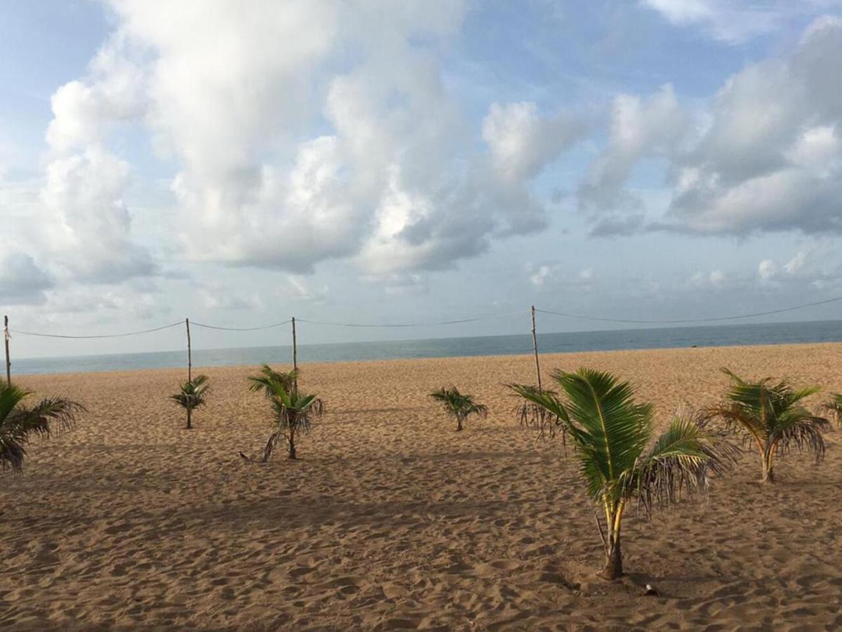 Villa Cocotiers A11 كوتونو المظهر الخارجي الصورة
